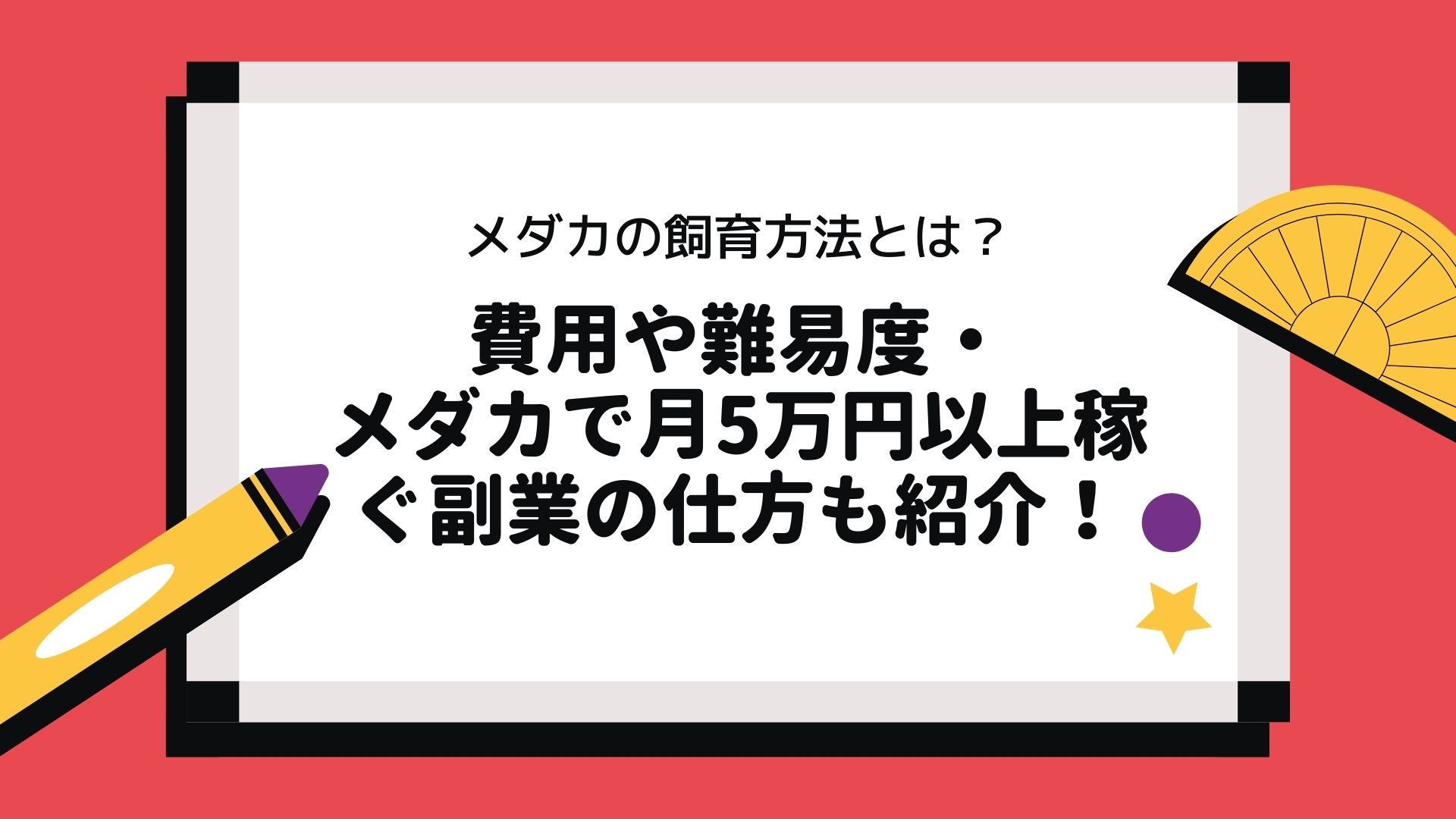 初心者向け メダカの飼育方法とは 費用や難易度 メダカで月5万円以上稼ぐ副業の仕方も紹介 Bad Press